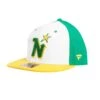 Minnesota North Stars Fanatics NHL Vintage Snapback Hat